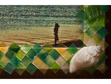 � ��������