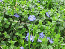 ��������. 50 �