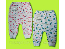 ����: 116 ���.