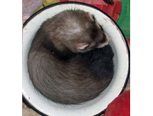 ���� � �����