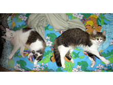 ������������� 1