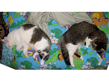 ������������� 2