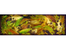 ������� ����� ������ �������