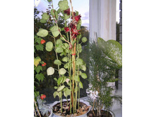 ������� �� ����� 16.09.2005