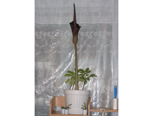 ������������ 13.02.2010