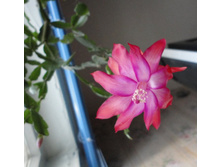 ������ ��������������