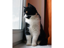 ���������