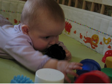 � ���� ��������� ���� ���