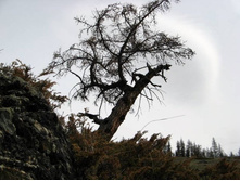 ����� ������� � ����� ��������.