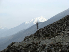 ����, ����...