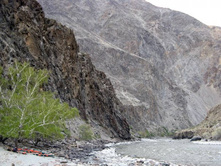 �����, ������� �� �. "����������"