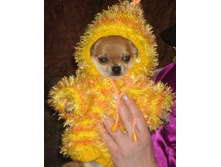 ������������� \"��������\"