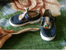 ������� ��� ������, 30�. ������ 25