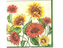 № 100     10  ���       1/4 ��������     10 ��.