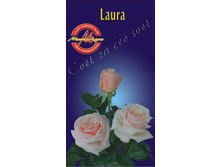 laura129.jpg