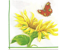 №103    ������ �������