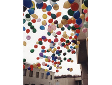 1 (15).jpg