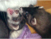 � ���� ����!!!