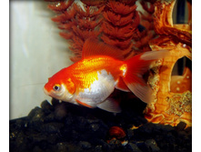 �������2 024.jpg