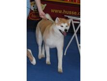 �������� 095.jpg