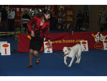 �������� 025.jpg