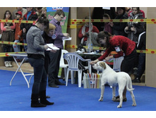 �������� 028.jpg