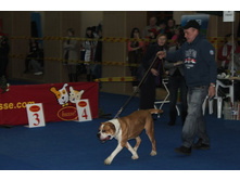 �������� 031.jpg