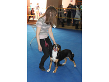 �������� 041.jpg