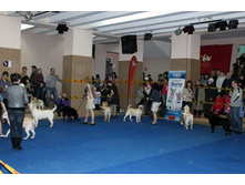 �������� 050.jpg