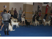 �������� 051.jpg