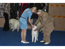 �������� 055.jpg