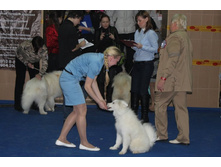 �������� 056.jpg