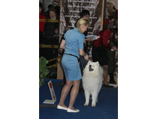 �������� 061.jpg