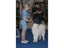 �������� 064.jpg