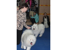 �������� 066.jpg