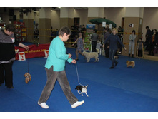 �������� 069.jpg