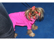 �������� 072.jpg