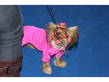 �������� 073.jpg