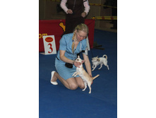 �������� 076.jpg