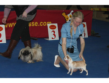 �������� 079.jpg