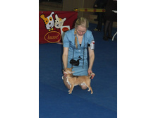 �������� 080.jpg