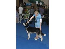 �������� 086.jpg