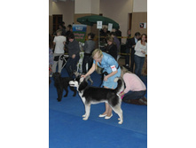 �������� 087.jpg