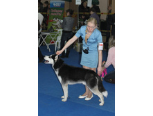 �������� 088.jpg