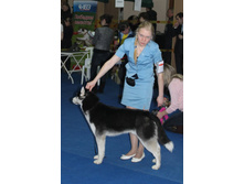 �������� 089.jpg