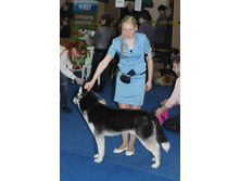 �������� 090.jpg