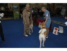 �������� 092.jpg