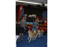 �������� 094.jpg