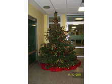 ����� ����������