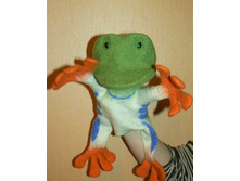 ����� ���������